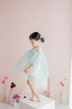 画像をギャラリービューアに読み込む, OVER DRESS